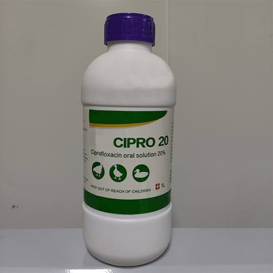 Veterinary Drug Ciprofloxacin 20% Oral Liquid